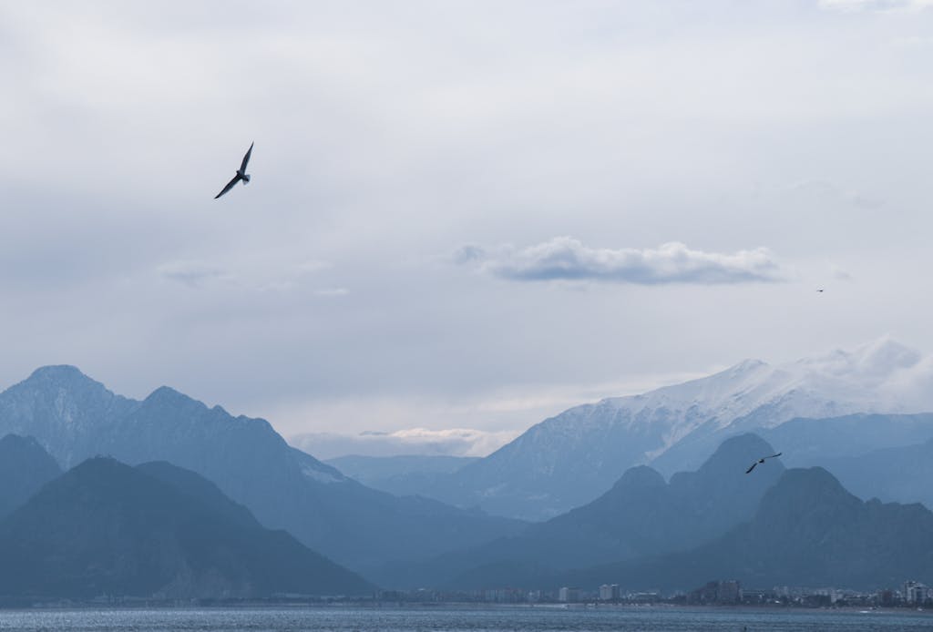 Captivating scene of birds soaring over misty mountains and sea in Turkey during sunset.